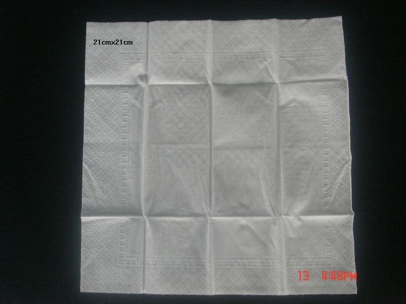 pocket tissue 21x21cm